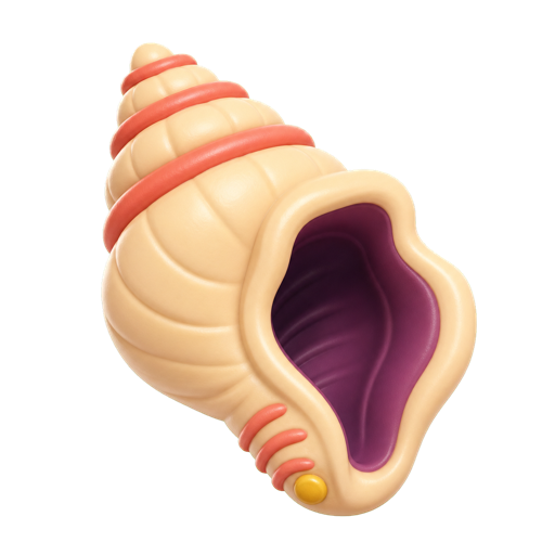 A conch shell